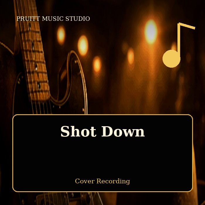 Shot Down artwork